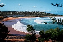 Dee Why Beach